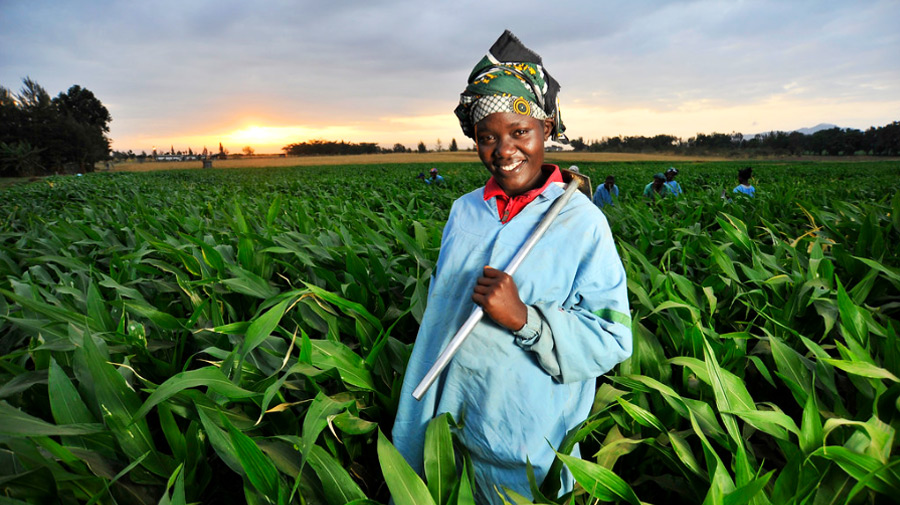 Agriculture